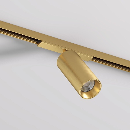 Светильник на шине Denkirs SHINE SPOT DK5741-SB - фото