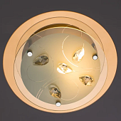 Потолочный светильник Arte Lamp TIANA A4043PL-1CC