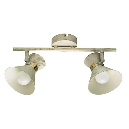 Спот Arte Lamp BALTIMORE A1406AP-2WG - фото