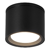 Светильник уличный потолочный ST-Luce черный/белый GX53 1*9W - SL9006.402.01