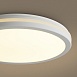 Потолочный светильник Freya FR6160CL-L40W - фото