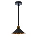 Подвесной светильник Arte Lamp CAPPELLO A7037SP-1BK - фото
