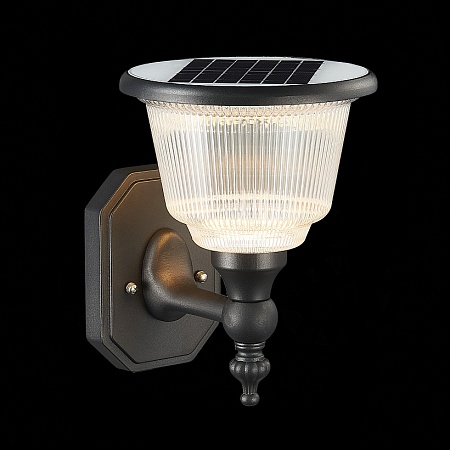 Светильник уличный настенный ST-Luce Черный/Черный, Прозрачный LED 1*2W 3000-6000K SL9502.401.01 - фото