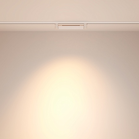 Трековый светильник Technical Points rot TR010-1-10W3K-M-W - фото