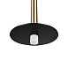 10358/830 Disk AB Подвесной светильник LOFT IT Reed - фото