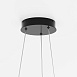 Подвесной светильник Maytoni Rim MOD058PL-L22BK - фото
