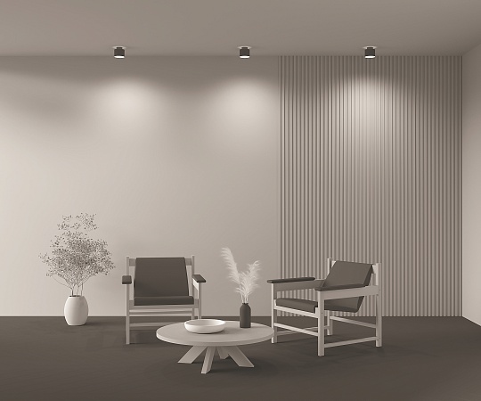 Потолочный светильник Technical Planet C009CW-L12B - фото