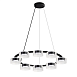 Подвесная люстра Arte Lamp ALIUS A8042SP-8BK - фото