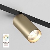 Светильник на шине Denkirs SMART SPOT DK8020-BG
