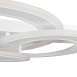 Потолочный светильник Freya Sunny FR10022CL-L63W - фото