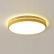 Потолочный Светильник Disc Dh D38 Yellow Imperiumloft 189900-26 - фото