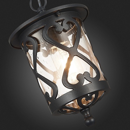 Светильник уличный подвесной ST-Luce Черный/Черный, Прозрачный E27 1*60W SL085.403.01 - фото