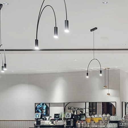 Подвесной Светильник Arc 12 Black Imperiumloft 212845-26 - фото
