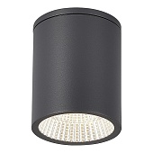 Светильник уличный потолочный ST-Luce серый/белый LED 1*12W 3000K/4000K/6500K SL9514.712.01