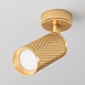 Потолочный светильник Technical Focus Design C034CL-01G - фото