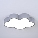 Потолочный Светильник Cloud 50 Серый Imperiumloft 186676-26 - фото