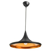 Подвесной светильник Arte Lamp CAPPELLO A3406SP-1BK