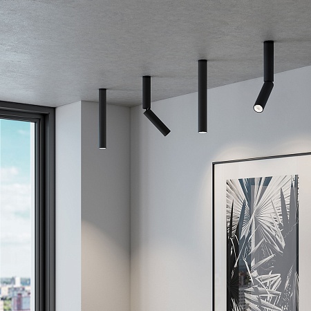 Накладной поворотный светодиодный светильник Pika 25029/LED 6W 4200K чёрный Elektrostandard - фото