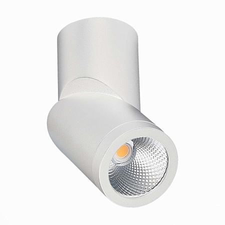 Светильник потолочный Белый LED 1*10W 4000K 800Lm Ra>90 38° IP44 D62xH151 165-265V ST650.542.10 - фото