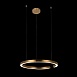 10013L Подвесной светильник LOFT IT Ring - фото