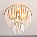 Люстра Jacqueline Clear Flush-Mount Brass Imperiumloft 186173-22 - фото