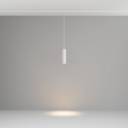 Трековый светильник Technical FOCUS LED TR041-2-12W3K-W - фото