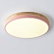 Потолочный Светильник Disc Dh D48 Pink Imperiumloft 189905-26 - фото