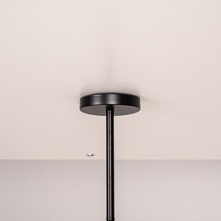 Люстра На Штанге Late D55 Black Imperiumloft 193586-26 - фото