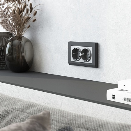 Розетка двойная с заземлением (серебряный матовый) W1172065 - фото