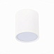 Светильник потолочный Белый LED 1*5W 3000K 390Lm Ra>90 120° IP20 D68xH75 170-240V ST113.532.05 - фото