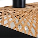 Подвесной светильник Arte Lamp WOODSTOCK A7059SP-1BK - фото