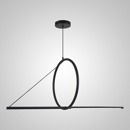 Подвесной Светильник Suspension Cercle Et Trait – Graphite Satine L120 Imperiumloft 144225-22 - фото