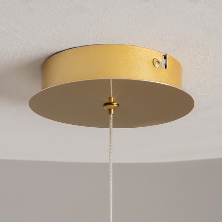 Подвесной светильник Maytoni Foresight MOD347PL-L8BS3K - фото