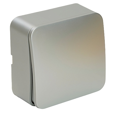 Выключатель открытой установки 1-клавишный, STEKKER, 250В, 10А, IP20, серия София, серебро, MSW10-10-03 - фото