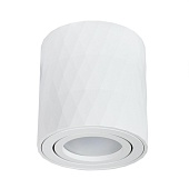 Точечный накладной светильник ARTE LAMP A5559PL-1WH