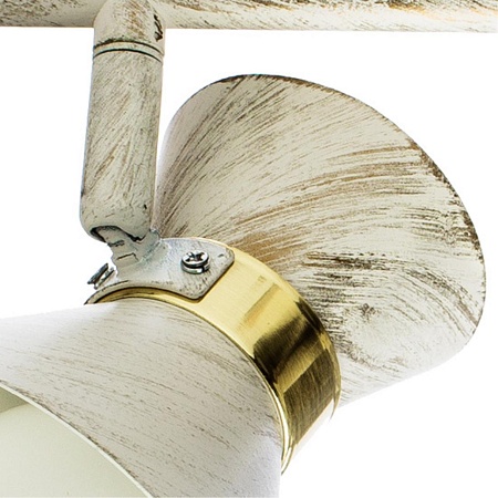 Спот Arte Lamp BALTIMORE A1406AP-2WG - фото