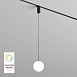 Светильник на шине Denkirs SMART MOON DK8052-BK - фото