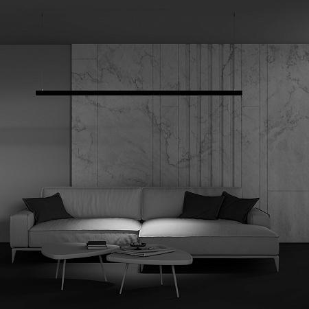 Трековый светильник Technical Points  TR031-2-12W2.7K-B - фото