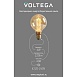 Лампочка Voltega 8561 - фото