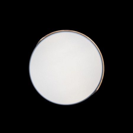 10004/36 Grey Потолочный светильник LOFT IT Axel - фото