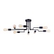 Потолочный светильник Maytoni Gilbert T532CL-08B - фото