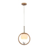 Подвесной светильник Arte lamp CAPRICE A4182SP-1BR