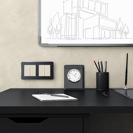 Рамка из металла на 2 поста Platinum черный W0022608 - фото