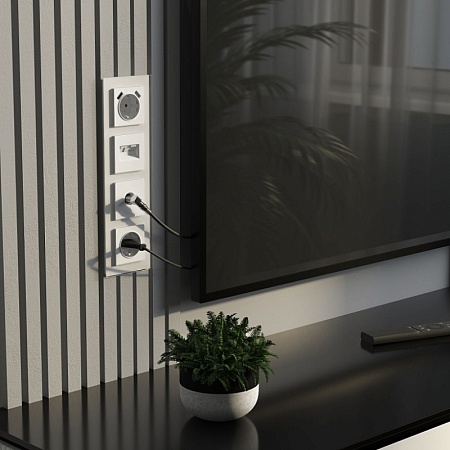 ТВ-розетка оконечная (белый матовый) W1183061 - фото