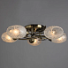 Потолочная люстра Arte Lamp ANETTA A6157PL-5AB - фото