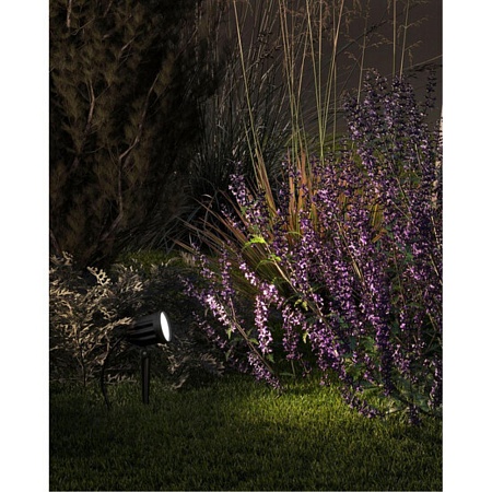 Грунтовый светильник Arte Lamp ELSIE A1127IN-1BK - фото