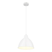 Подвесной светильник Arte Lamp BRACCIO A2055SP-1WH