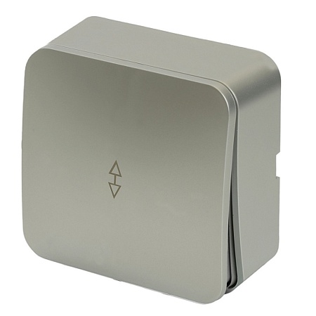 Переключатель открытой установки 1-клавишный, STEKKER,  250В, 10А, IP20, серия София, серебро, MSW10-12-03 - фото