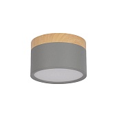 10162 Grey Накладной светильник LOFT IT Grape
