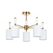 Люстра на штанге Arte Lamp WAVERLEY A4102PL-5PB - фото